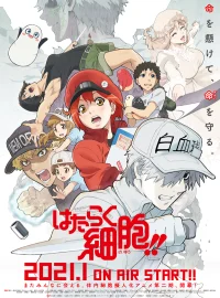 Работа клеток бесплатно